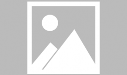 毒虫漫画,揭示昆虫世界的暗黑面